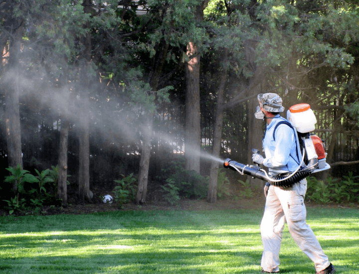 mosquito spraying