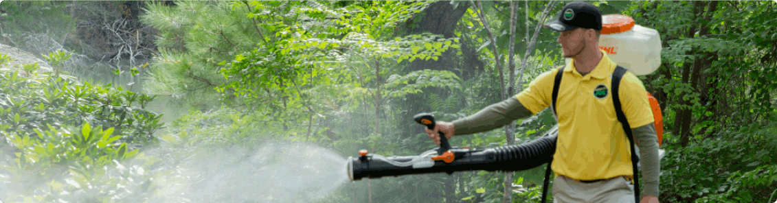 spraying for mosquitos
