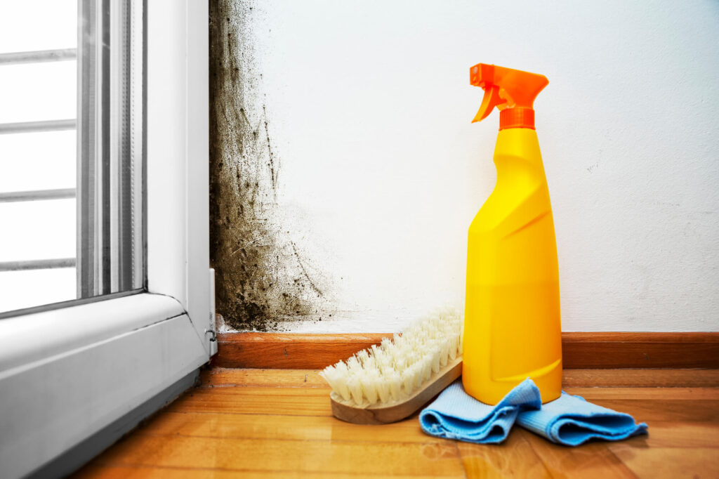 Mold Remediation Franchise Opportunities