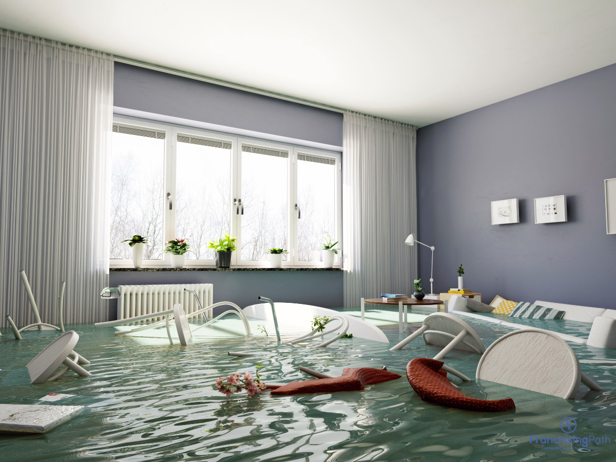 Cleaning and packing service restoring items after fire or flood damage